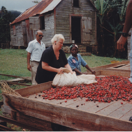 Ullabritt Horn bei der Muskatnussernte in Grenada.